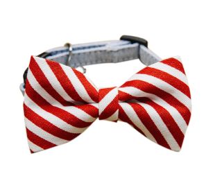 Adjustable Striped Small Neck Tie For Gentleman Dogs Collar sizes 6-11 Inches
