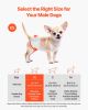 VEVOR Disposable Male Dog Diapers, Super Absorbent Male Dog Wraps, 360 Â° Leak-Proof Belly Bands with Wetness Indicator for Doggies in Heat, Training