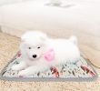 Electric Heating Pad for Your Dog, Waterproof Mat for Cozy Indoor Snooze