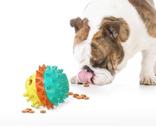 Red White & Blue Pet Chew Toy Interactive Treat Dispenser Squeaks & Bounce Toy with Rope for Aggressive Dog Chewers (Color: Green)